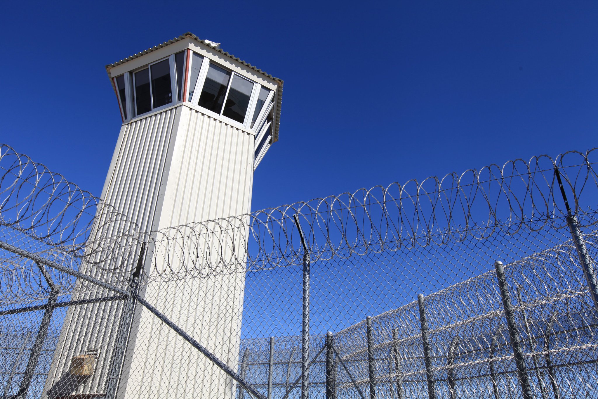 Discipline Monitoring Report, July – December 2024